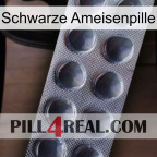 Black Ant Pill 30